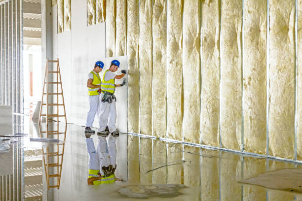 Best Insulation Installation Services in Norcross, GA